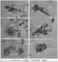 Fig. 01 - POROUS CELLULAR SCAFFOLD COMPRISING SERUM-DERIVED PROTEIN, AND PRODUCTION METHOD THEREFOR