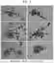 Fig. 02 - POROUS CELLULAR SCAFFOLD COMPRISING SERUM-DERIVED PROTEIN, AND PRODUCTION METHOD THEREFOR