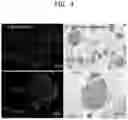Fig. 05 - POROUS CELLULAR SCAFFOLD COMPRISING SERUM-DERIVED PROTEIN, AND PRODUCTION METHOD THEREFOR