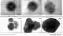 Fig. 01 - GENERATION OF HUMAN PLURIPOTENT STEM CELL DERIVED ARTIFICIAL TISSUE STRUCTURES WITHOUT THREE DIMENSIONAL MATRICES