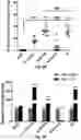 Fig. 08 - Use of Adipose-Derived Stem Cells for Glaucoma Treatment