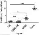Fig. 13 - Use of Adipose-Derived Stem Cells for Glaucoma Treatment