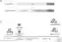 Fig. 01 - A Method of Altering a Differentiation Status of a Cell