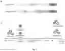 Fig. 02 - A Method of Altering a Differentiation Status of a Cell