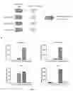 Fig. 06 - A Method of Altering a Differentiation Status of a Cell