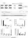 Fig. 08 - A Method of Altering a Differentiation Status of a Cell