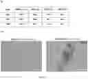 Fig. 21 - A Method of Altering a Differentiation Status of a Cell