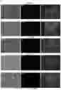 Fig. 28 - A Method of Altering a Differentiation Status of a Cell