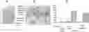 Fig. 01 - IMMUNOMODULATION BY AMNIOTIC FLUID MESENCHYMAL STEM CELLS
