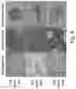 Fig. 07 - IMMUNOMODULATION BY AMNIOTIC FLUID MESENCHYMAL STEM CELLS