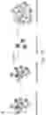 Fig. 16 - IMMUNOMODULATION BY AMNIOTIC FLUID MESENCHYMAL STEM CELLS