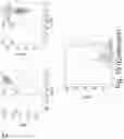 Fig. 18 - IMMUNOMODULATION BY AMNIOTIC FLUID MESENCHYMAL STEM CELLS