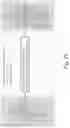 Fig. 30 - IMMUNOMODULATION BY AMNIOTIC FLUID MESENCHYMAL STEM CELLS