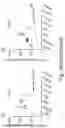 Fig. 44 - IMMUNOMODULATION BY AMNIOTIC FLUID MESENCHYMAL STEM CELLS