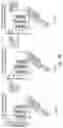 Fig. 58 - IMMUNOMODULATION BY AMNIOTIC FLUID MESENCHYMAL STEM CELLS