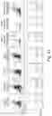 Fig. 62 - IMMUNOMODULATION BY AMNIOTIC FLUID MESENCHYMAL STEM CELLS