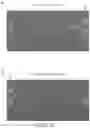 Fig. 35 - GENETICALLY-MODIFIED CELLS COMPRISING A MODIFIED HUMAN T CELL RECEPTOR ALPHA CONSTANT REGION GENE