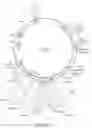 Fig. 40 - GENETICALLY-MODIFIED CELLS COMPRISING A MODIFIED HUMAN T CELL RECEPTOR ALPHA CONSTANT REGION GENE