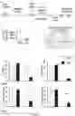 Fig. 07 - METHODS FOR MANUFACTURING T CELLS EXPRESSING OF CHIMERIC ANTIGEN RECEPTORS AND OTHER RECEPTORS