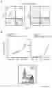Fig. 12 - METHODS FOR MANUFACTURING T CELLS EXPRESSING OF CHIMERIC ANTIGEN RECEPTORS AND OTHER RECEPTORS