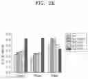 Fig. 04 - Osteoporosis model comprising calcium phosphate hydrogel composition and use thereof