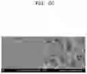 Fig. 13 - Osteoporosis model comprising calcium phosphate hydrogel composition and use thereof
