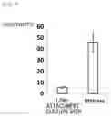 Fig. 07 - METHOD FOR PRODUCING OSTEOBLAST CLUSTER USING IPS CELLS