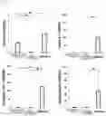 Fig. 09 - METHOD FOR PRODUCING OSTEOBLAST CLUSTER USING IPS CELLS