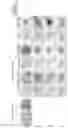 Fig. 21 - METHOD FOR PRODUCING OSTEOBLAST CLUSTER USING IPS CELLS