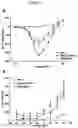 Fig. 07 - Methods for obtaining induced smooth muscle cells