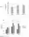 Fig. 05 - METHODS OF PRECONDITIONING VASCULAR CELLS FOR TRANSDUCTION, METHODS OF TRANSDUCTION AND METHODS OF PRESERVING TRANSDUCED CELLS