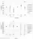 Fig. 14 - METHODS OF PRECONDITIONING VASCULAR CELLS FOR TRANSDUCTION, METHODS OF TRANSDUCTION AND METHODS OF PRESERVING TRANSDUCED CELLS