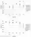 Fig. 15 - METHODS OF PRECONDITIONING VASCULAR CELLS FOR TRANSDUCTION, METHODS OF TRANSDUCTION AND METHODS OF PRESERVING TRANSDUCED CELLS
