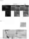Fig. 03 - METHOD FOR CULTURING HEPATIC EPITHELIOID TISSUE HAVING A STRUCTURE OF CONNECTIONS BETWEEN HEPATOCYTES AND BILE DUCT EPITHELIAL CELL