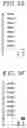 Fig. 06 - PANCREATIC ENDOCRINE CELLS, METHOD FOR PRODUCING SAME, AND TRANSDIFFERENTIATION AGENT