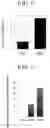 Fig. 12 - PANCREATIC ENDOCRINE CELLS, METHOD FOR PRODUCING SAME, AND TRANSDIFFERENTIATION AGENT