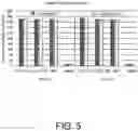 Fig. 06 - Genetically modified stem cells