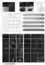 Fig. 11 - CULTURE MEDIUM FOR MAMMALIAN EXPANDED POTENTIAL STEM CELLS, COMPOSITION, AND METHODS THEREOF