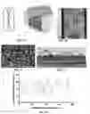 Fig. 07 - IN VITRO EQUINE MODEL SYSTEMS AND THEIR INTEGRATION INTO HORSE-ON-A-CHIP PLATFORM