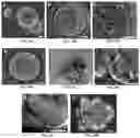 Fig. 09 - IN VITRO EQUINE MODEL SYSTEMS AND THEIR INTEGRATION INTO HORSE-ON-A-CHIP PLATFORM