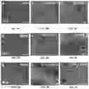 Fig. 12 - IN VITRO EQUINE MODEL SYSTEMS AND THEIR INTEGRATION INTO HORSE-ON-A-CHIP PLATFORM