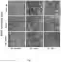 Fig. 08 - Methods relating to intestinal organ-on-a-chip