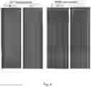 Fig. 09 - Methods relating to intestinal organ-on-a-chip