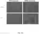 Fig. 11 - Methods relating to intestinal organ-on-a-chip