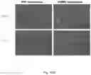 Fig. 12 - Methods relating to intestinal organ-on-a-chip