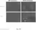 Fig. 13 - Methods relating to intestinal organ-on-a-chip
