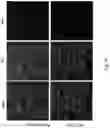 Fig. 14 - Methods relating to intestinal organ-on-a-chip