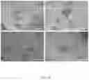 Fig. 17 - Methods relating to intestinal organ-on-a-chip