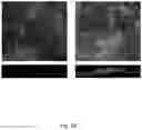 Fig. 29 - Methods relating to intestinal organ-on-a-chip
