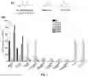 Fig. 06 - Enzyme with acyl transfer function and application thereof